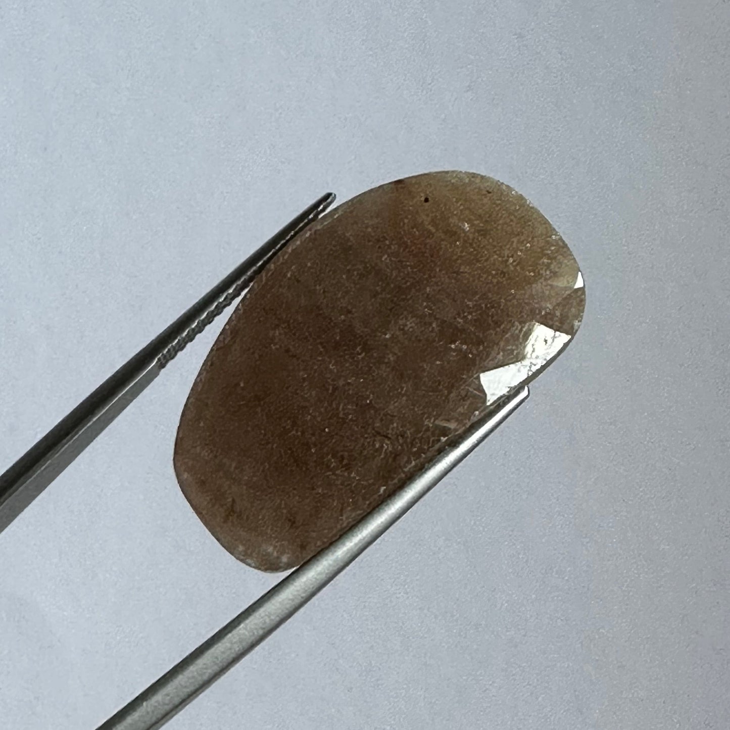 Brauner Saphir im Rosenschliff mit flachem Boden, Paar, sehr selten, 52,56 Karat