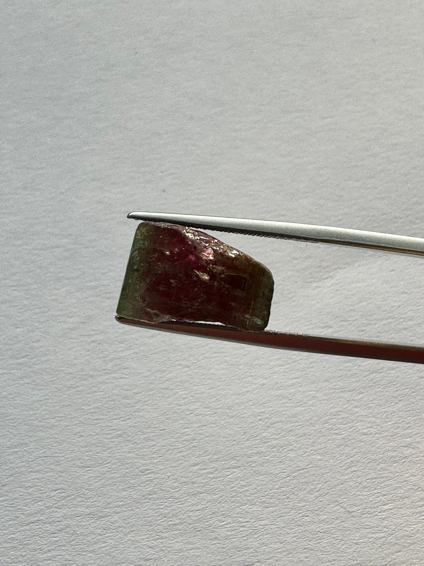 Unique Rough Mined Watermelon Tourmaline 18,22 cts 14,5mm x 15,4mm