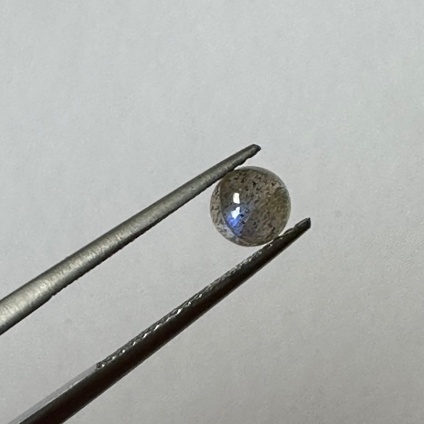 Runde Labradorit-Cabochons mit wunderschöner Opaleszenz, 20 g pro Beutel