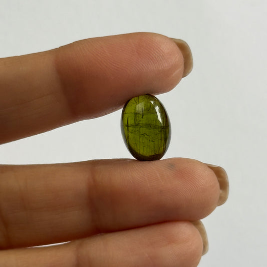 Tourmaline Bottle Green 14x10mm 7.75cts Oval Cabochon
