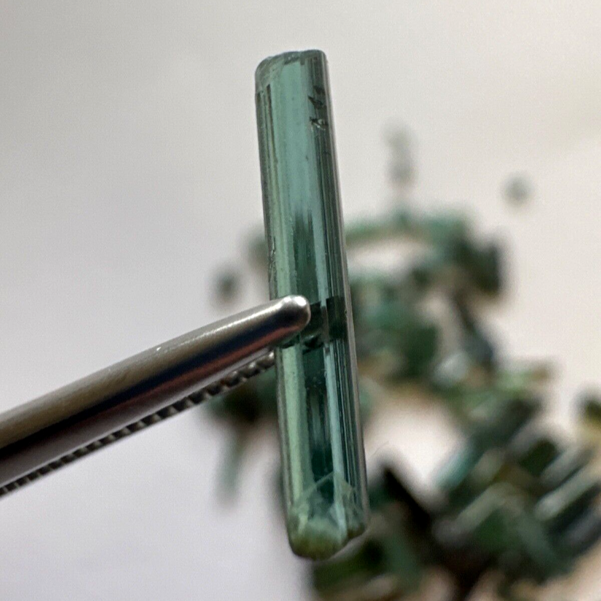 5 Pieces Very Rare Green Raw Tourmaline With Bling And Inclusions