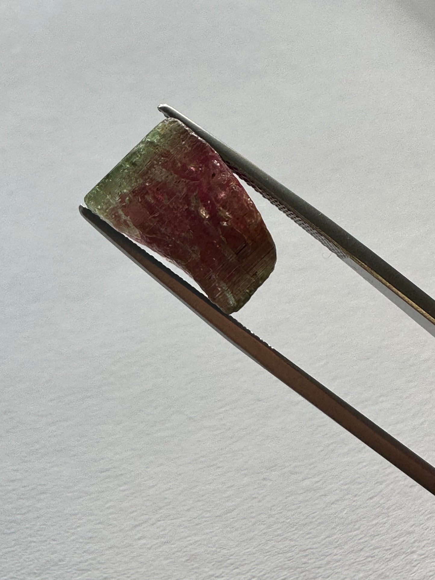 Unique Rough Mined Watermelon Tourmaline 18,22 cts 14,5mm x 15,4mm