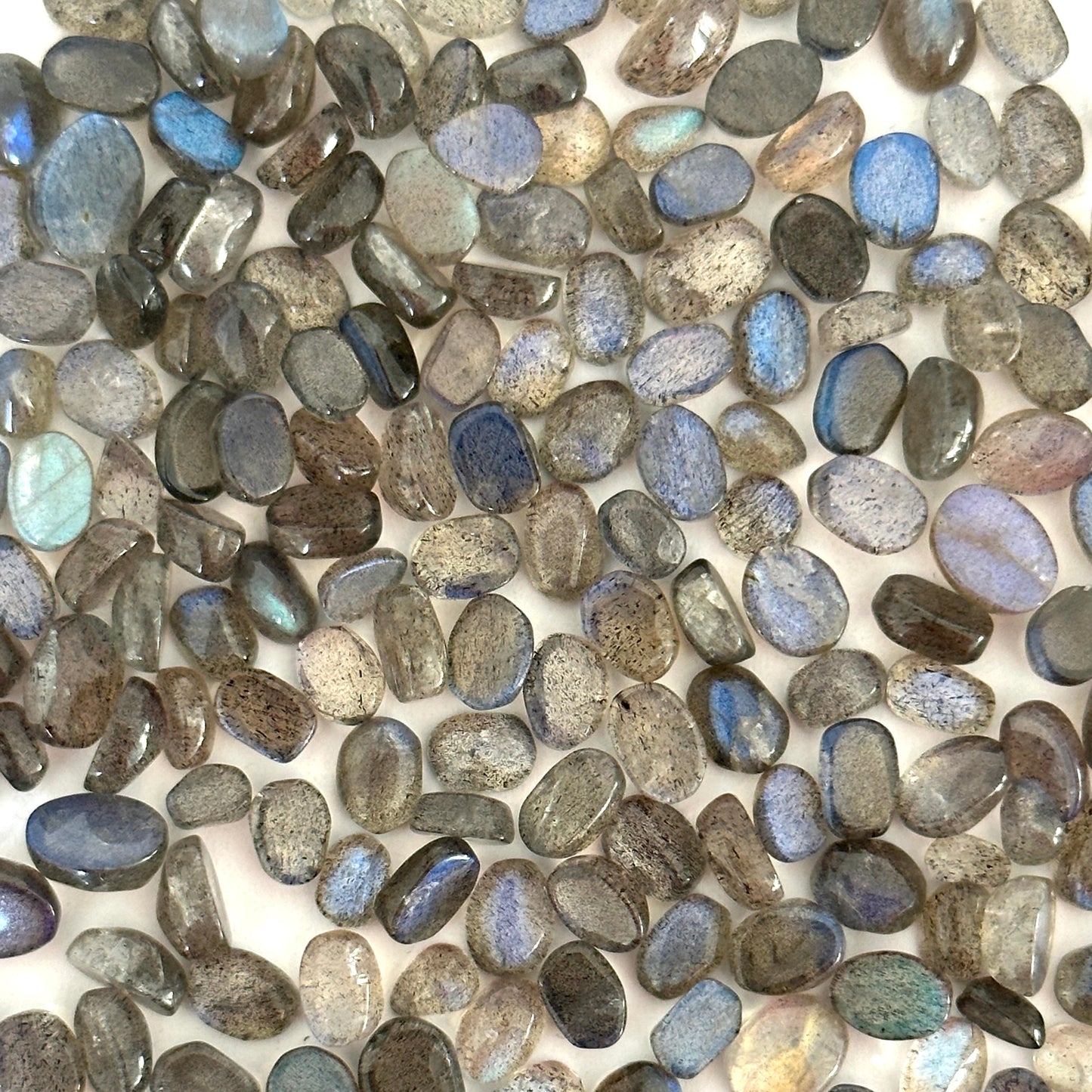 Faszinierende Labradorit-Cabochons, 10 Stück pro Beutel