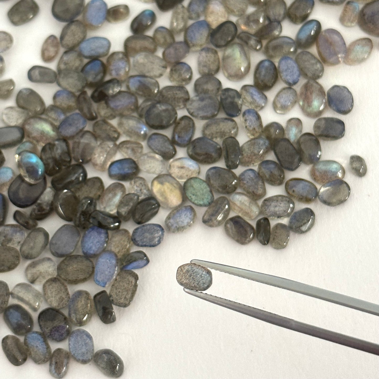 Faszinierende Labradorit-Cabochons, 10 Stück pro Beutel