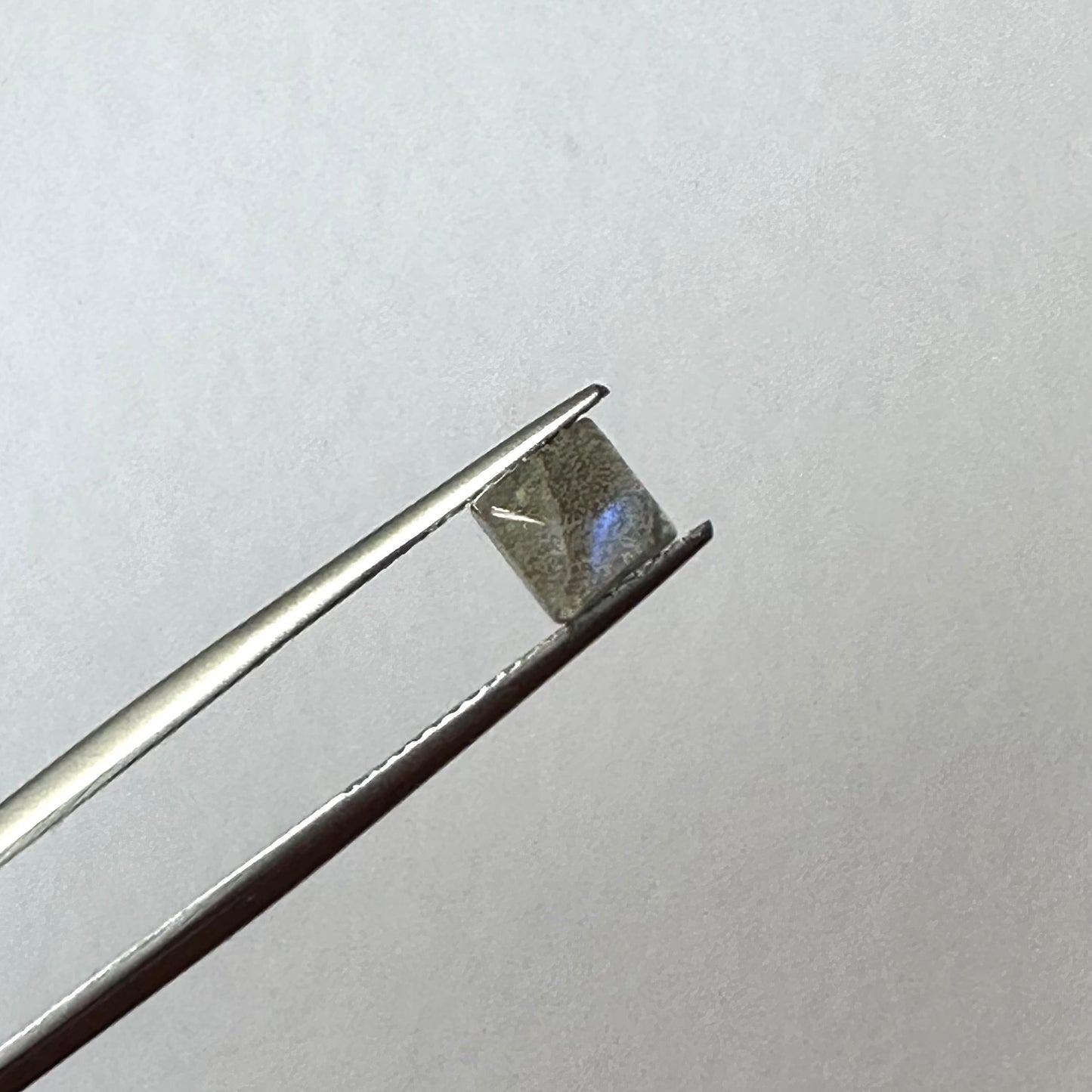 Labradorit, quadratischer Cabochon, glänzende blaue Opaleszenz, 29 g pro Beutel