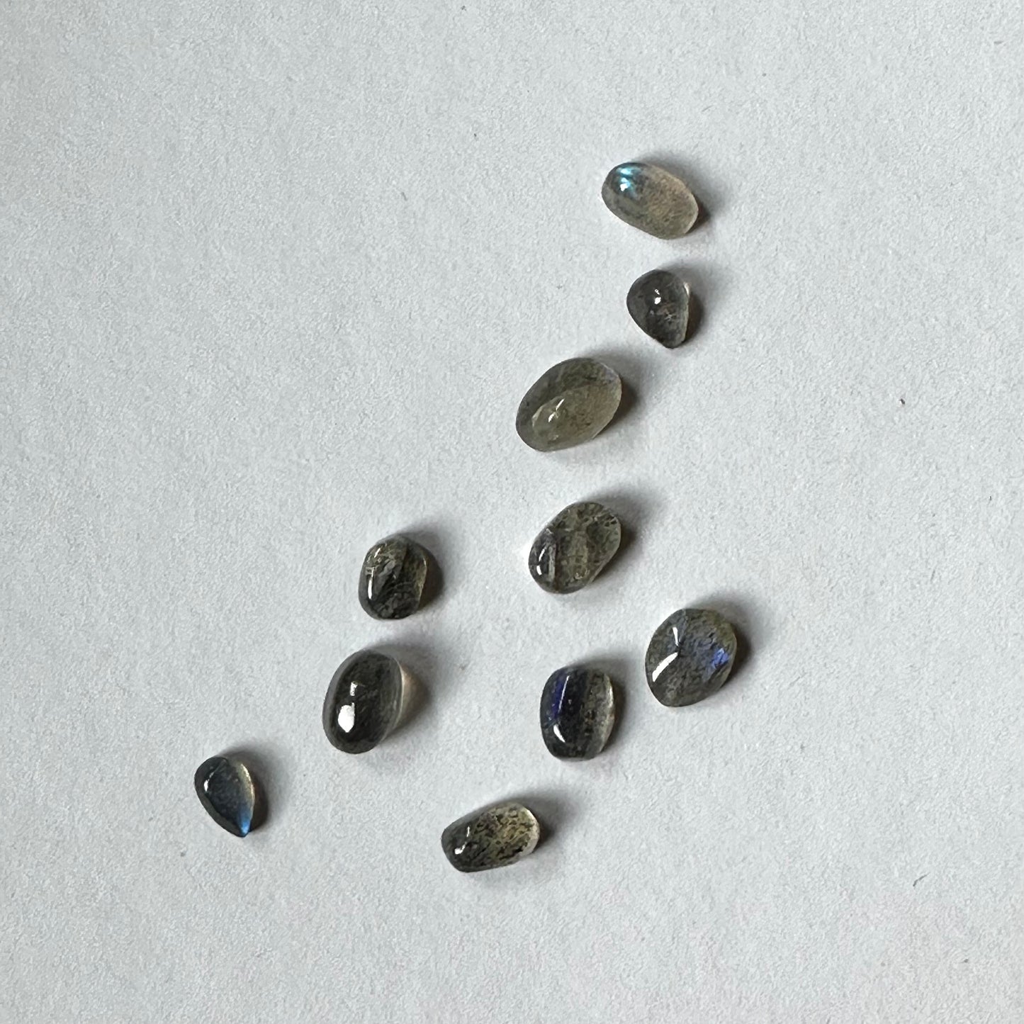 Faszinierende Labradorit-Cabochons, 10 Stück pro Beutel