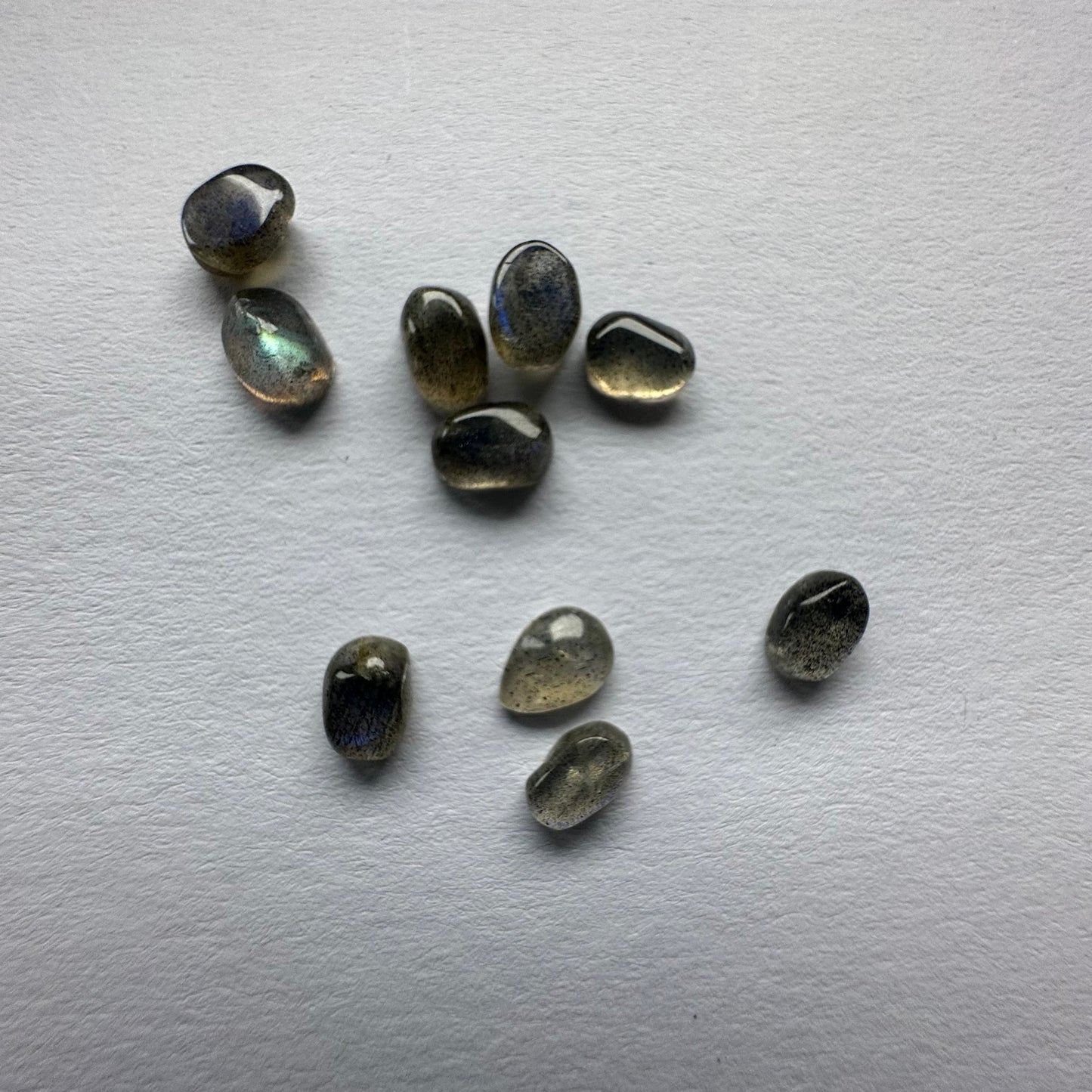Faszinierende Labradorit-Cabochons, 10 Stück pro Beutel