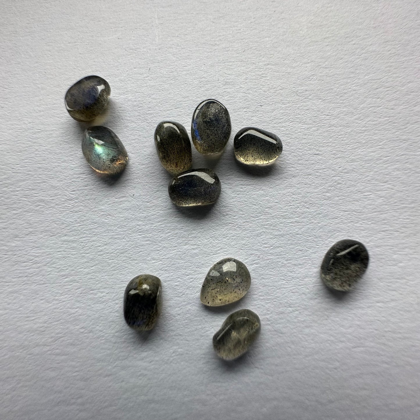 Faszinierende Labradorit-Cabochons, 10 Stück pro Beutel