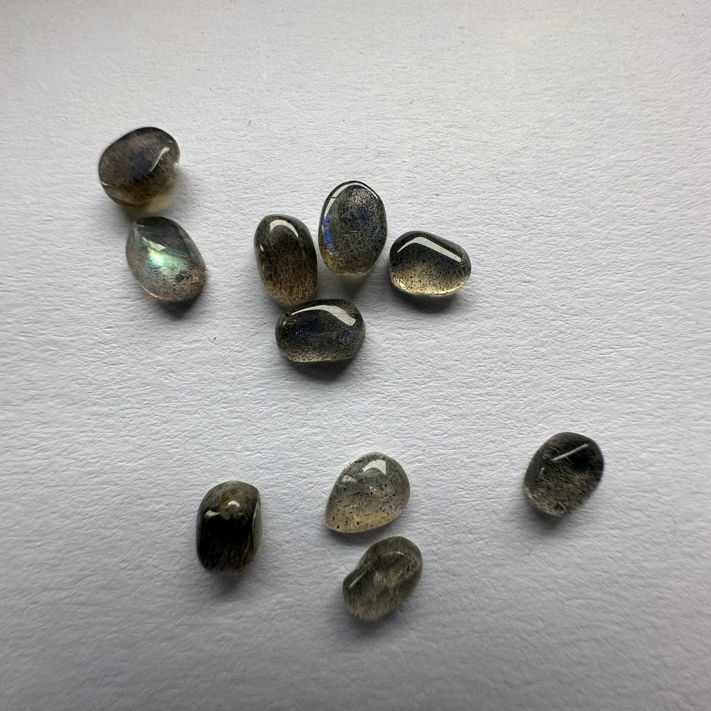Faszinierende Labradorit-Cabochons, 10 Stück pro Beutel