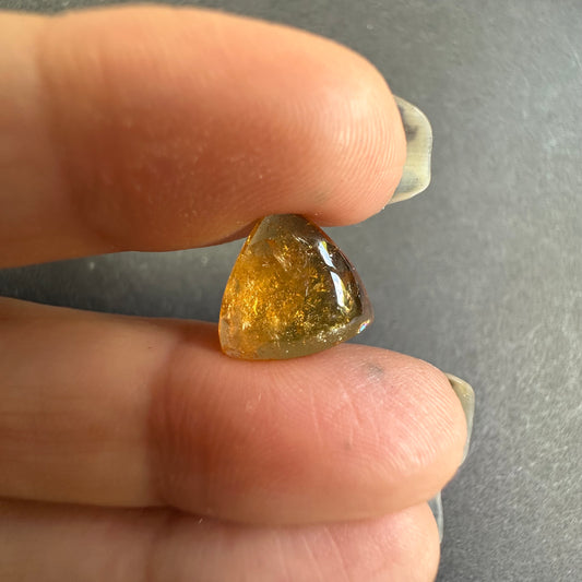 Lemon-Honey Yellow Tourmaline , Trillion Cabochon -4, 98cts