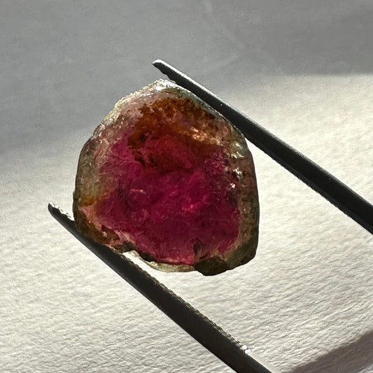 Watermelon tourmaline crystal showing a pink core and green rim