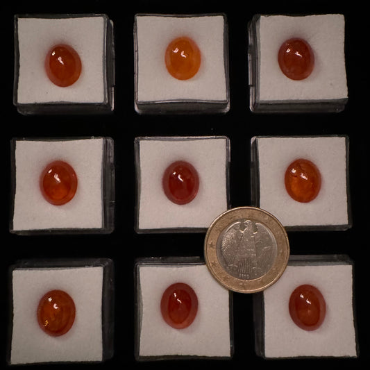 Leuchtend feuriger Mandarin-Granat