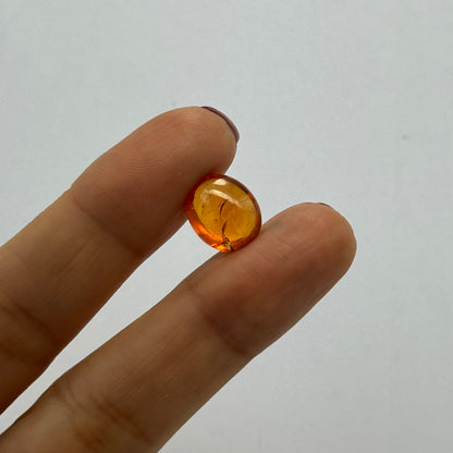 Orange Garnet Oval Cabochon, 7.20 ct, 12x10 mm – view 2 of 4