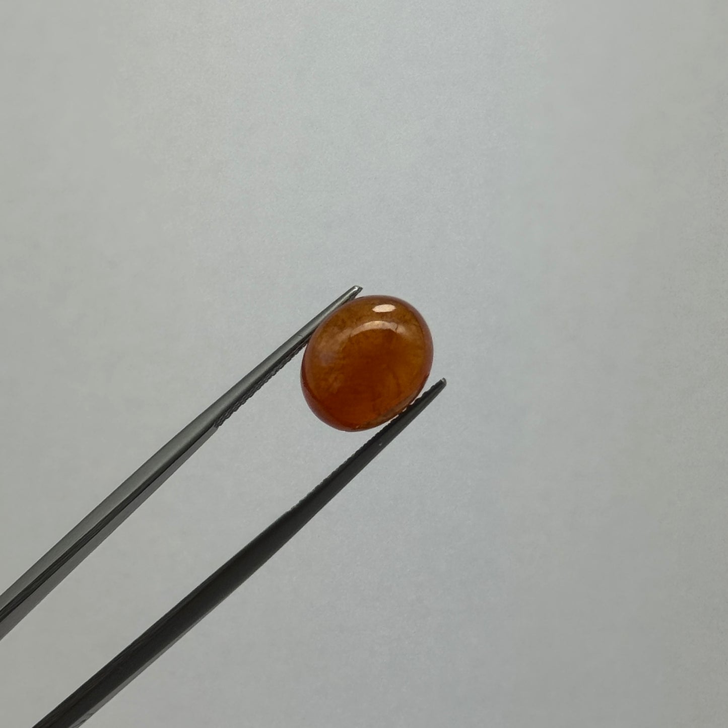EB895 Mandarin-Granat