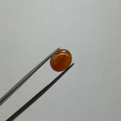 Orange Garnet Oval Cabochon, 8.71 ct, 12x10 mm – view 1 of 2