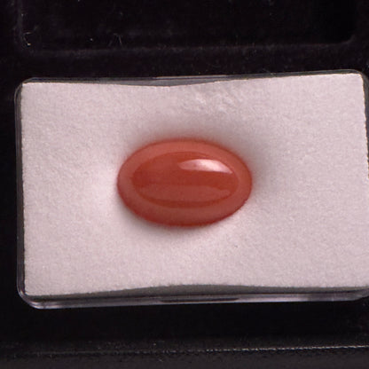 Orange Moonstone Oval Cabochon, 17.55 ct, 21x13.5 mm