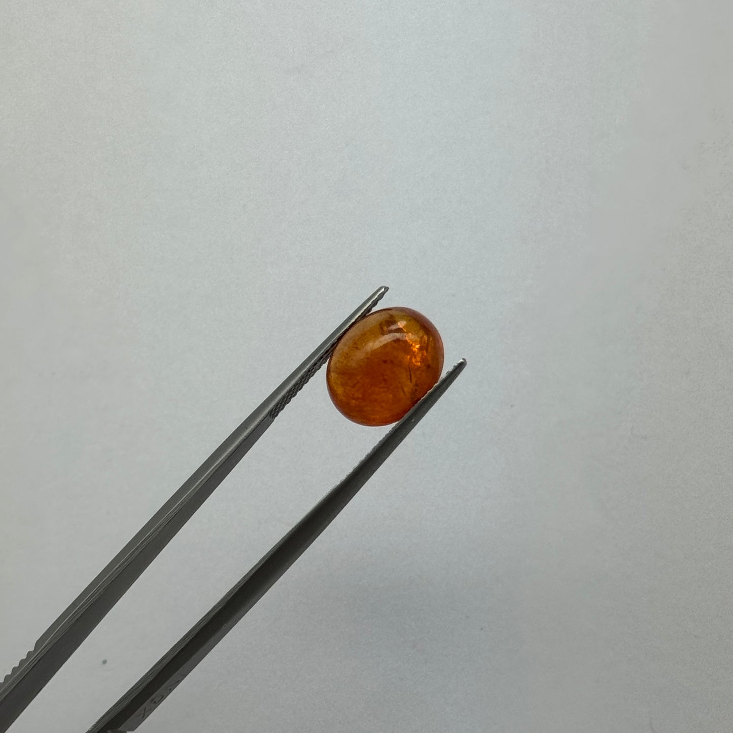 EB893 Mandarin-Granat