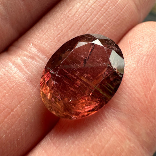 Tourmaline, 15.87 cts, 14x10.8x 5.5 mm