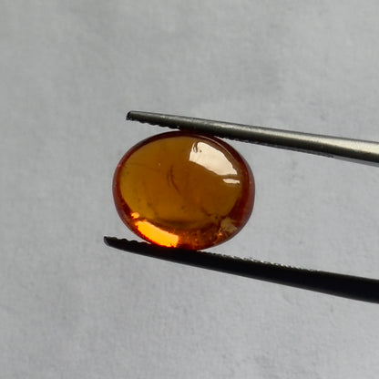 Orange Garnet Oval Cabochon, 7.20 ct, 12x10 mm – view 3 of 4