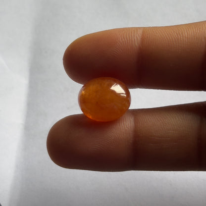 Orange Garnet Oval Cabochon, 11.53 ct, 13.15x10.95 mm – view 4 of 4