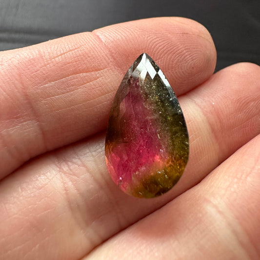 Special Green and Red coloured Tourmaline, 13.34 cts, 22.2x 12.8x 9 mm, Oval