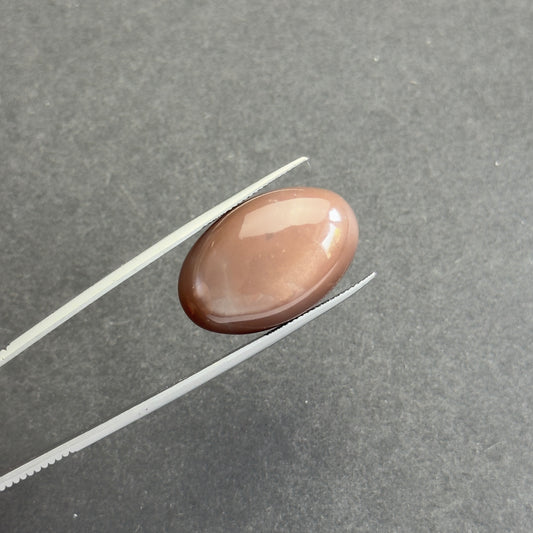 Mondstein Oval Cabochon 33,2 cts 26,5 x 17,01 mm EB437