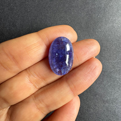Blue Tanzanite Oval Loose Stone, 16.60 ct, 20.5x13.5 mm – view 3 of 4
