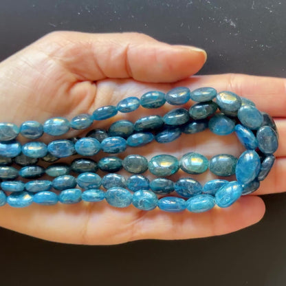 Deep Blue Apatite Oval Bead Strand, 40 cm, 6.5–9.5 mm